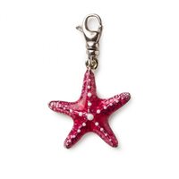 Charm Isola Bella Donna in Argento 20000479
